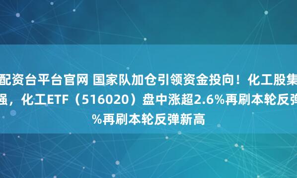 配资台平台官网 国家队加仓引领资金投向！化工股集体走强，化工ETF（516020）盘中涨超2.6%再刷本轮反弹新高